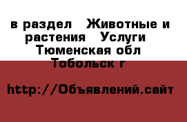  в раздел : Животные и растения » Услуги . Тюменская обл.,Тобольск г.